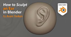 How To Sculpt An Ear In Blender